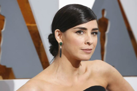 Sarah Silverman Responds Brilliantly To Sexist Twitter Troll