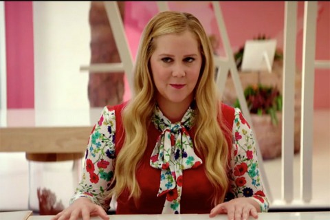 After a Disappointing ‘’I Feel Pretty’’, What Next For Amy Schumer