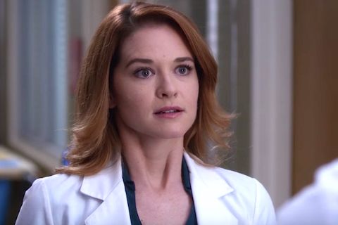 Sarah Drew Asks ‘Grey’s Anatomy’ Fans to Stop Attacking ‘’Kelly McCreary’’