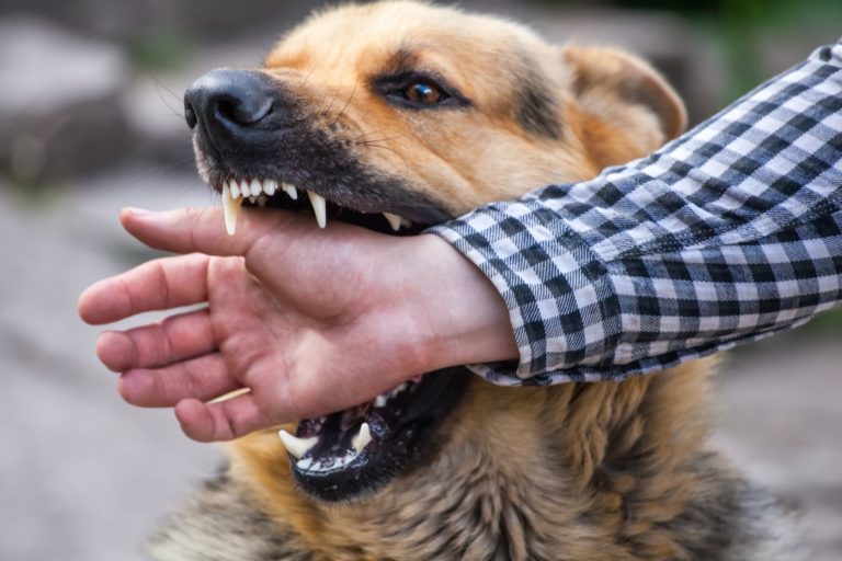 Woman Arrested For Biting Jogger Who Pepper-Sprayed Her Dog