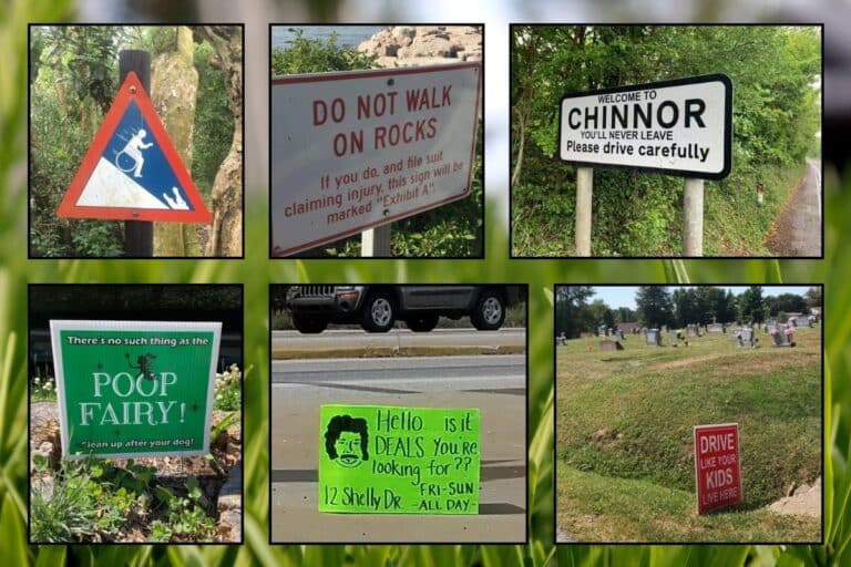 Discover the Wackiest and Most Unique Yard Signs You’ve Laid Eyes On!